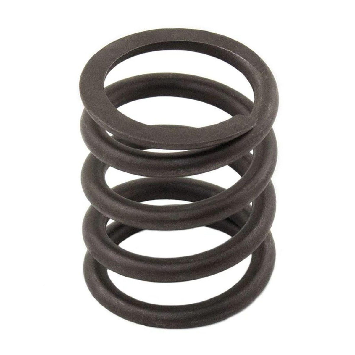 M3174P412X - OEM VALVE SPRING - CASE CONSTRUCTION