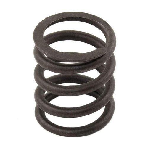 M3174P412X - OEM VALVE SPRING - CASE CONSTRUCTION