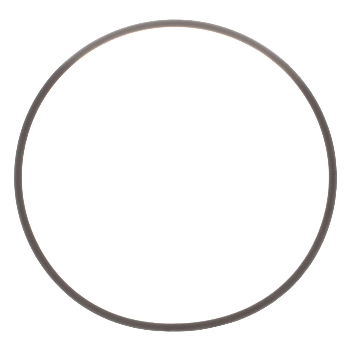 N14403 - OEM O-RING - CASE CONSTRUCTION
