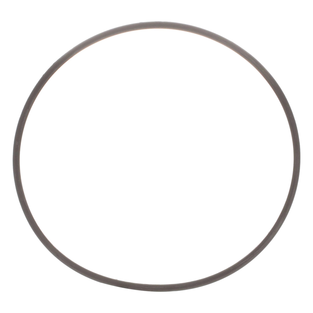 N14403 - OEM O-RING - CASE CONSTRUCTION