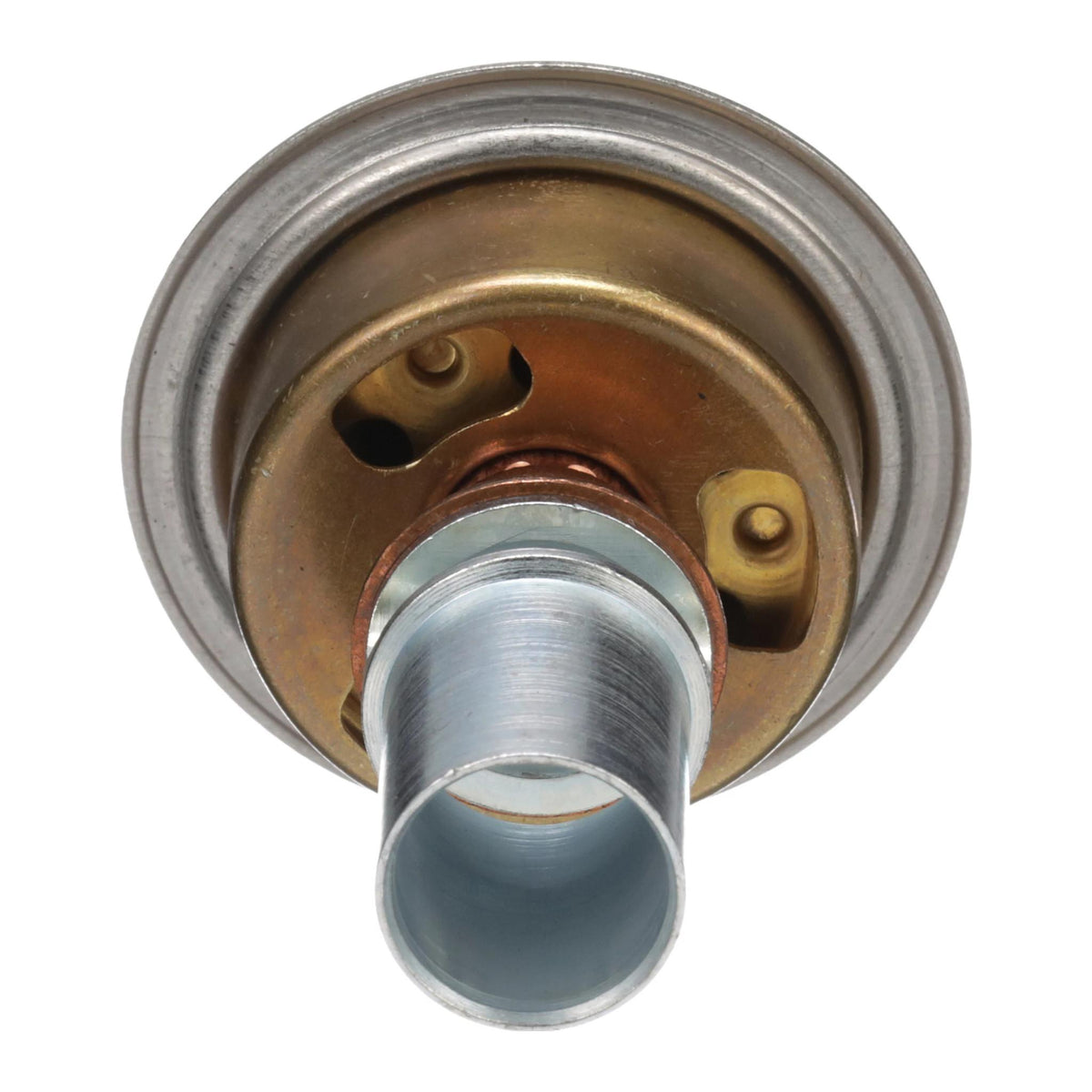 N14569 - OEM THERMOSTAT - CASE CONSTRUCTION