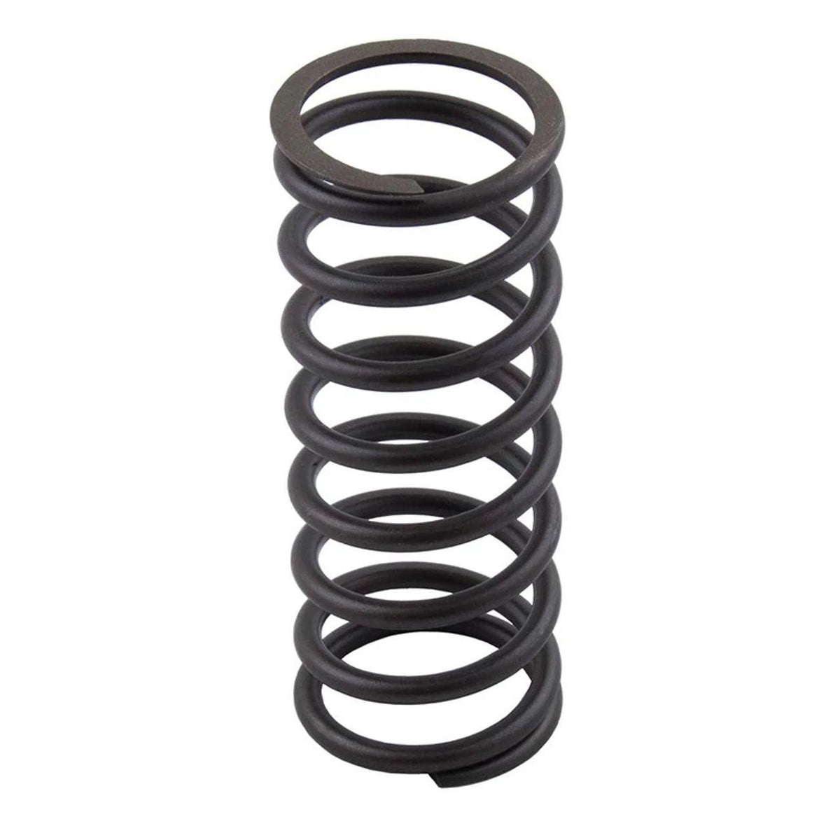 NB1794RX - OEM VALVE SPRING - CASE CONSTRUCTION