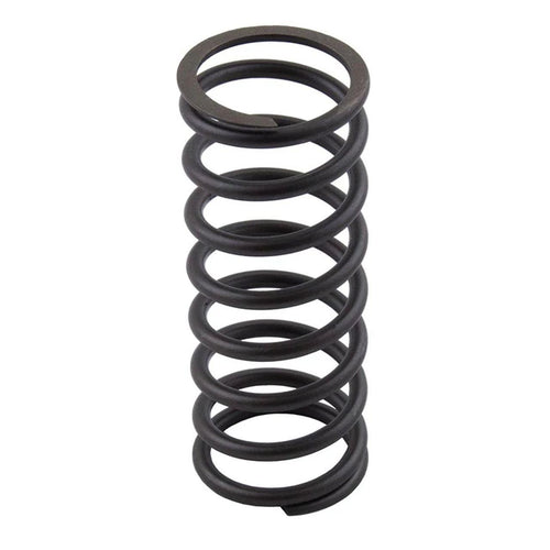 NB1794RX - OEM VALVE SPRING - CASE CONSTRUCTION