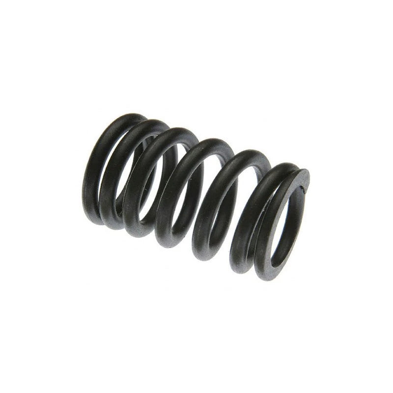 NR26110X - OEM VALVE SPRING - CASE CONSTRUCTION