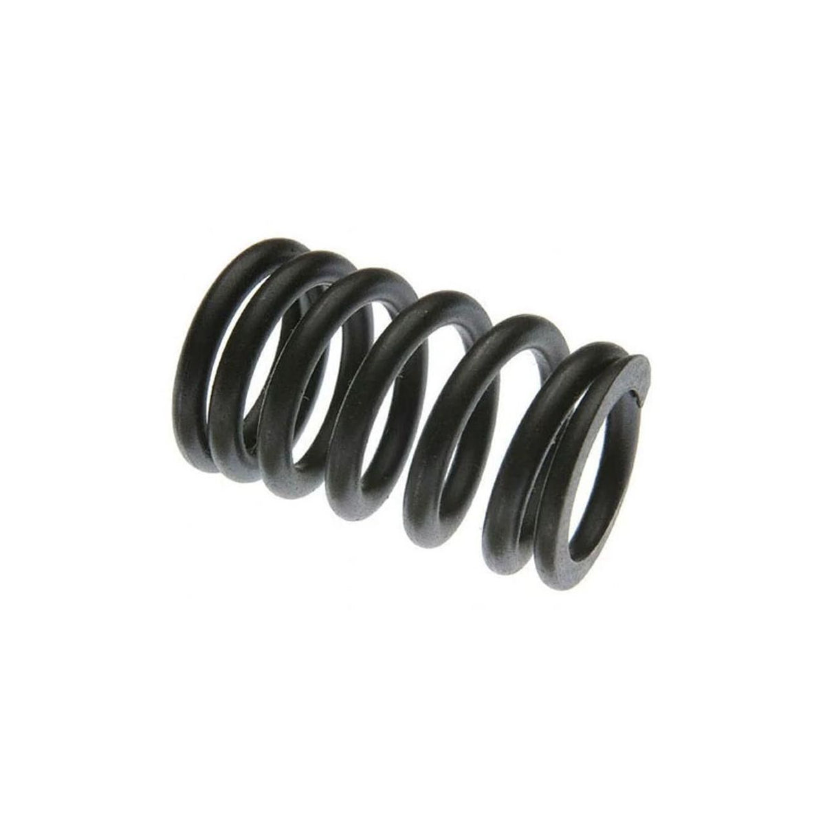 NR26110X - OEM VALVE SPRING - CASE CONSTRUCTION