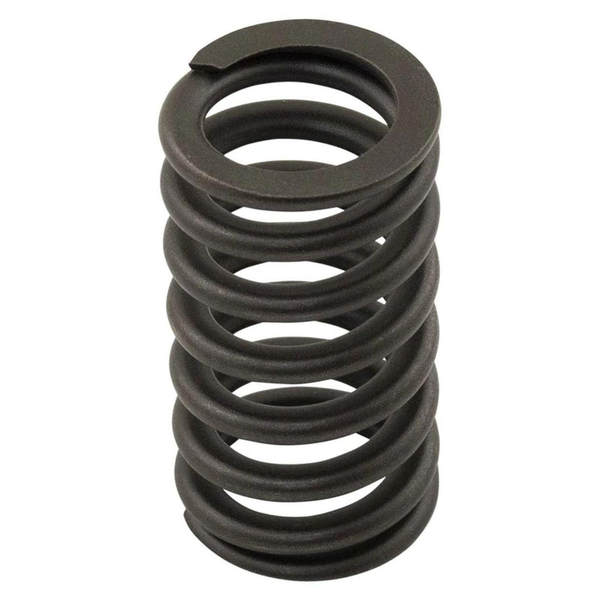 NR502187X - OEM VALVE SPRING - CASE CONSTRUCTION
