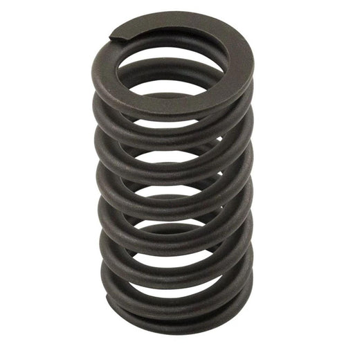 NR502187X - OEM VALVE SPRING - CASE CONSTRUCTION