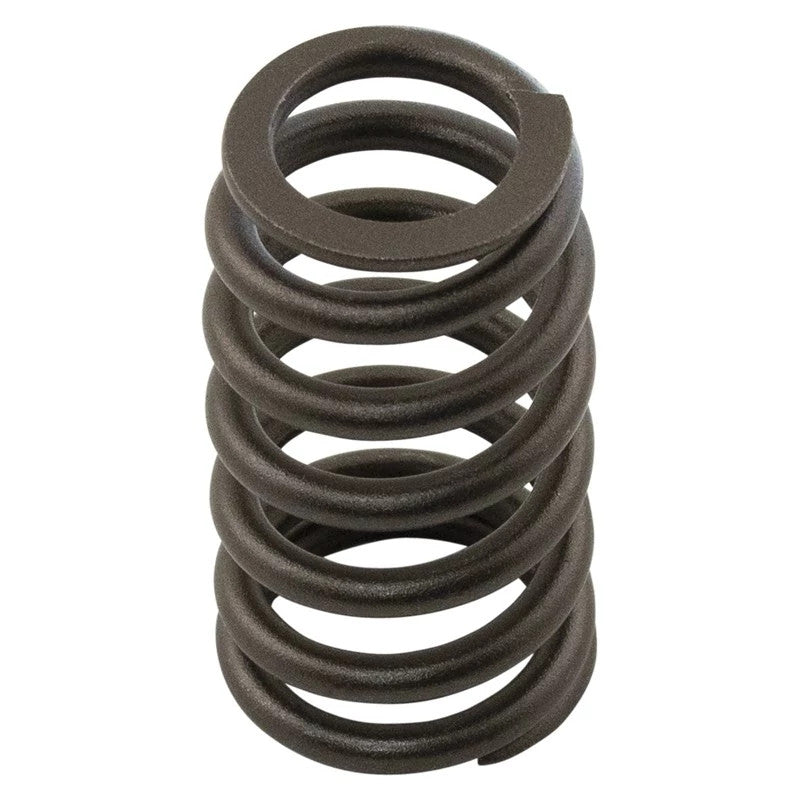 NR518872X - OEM VALVE SPRING - CASE CONSTRUCTION