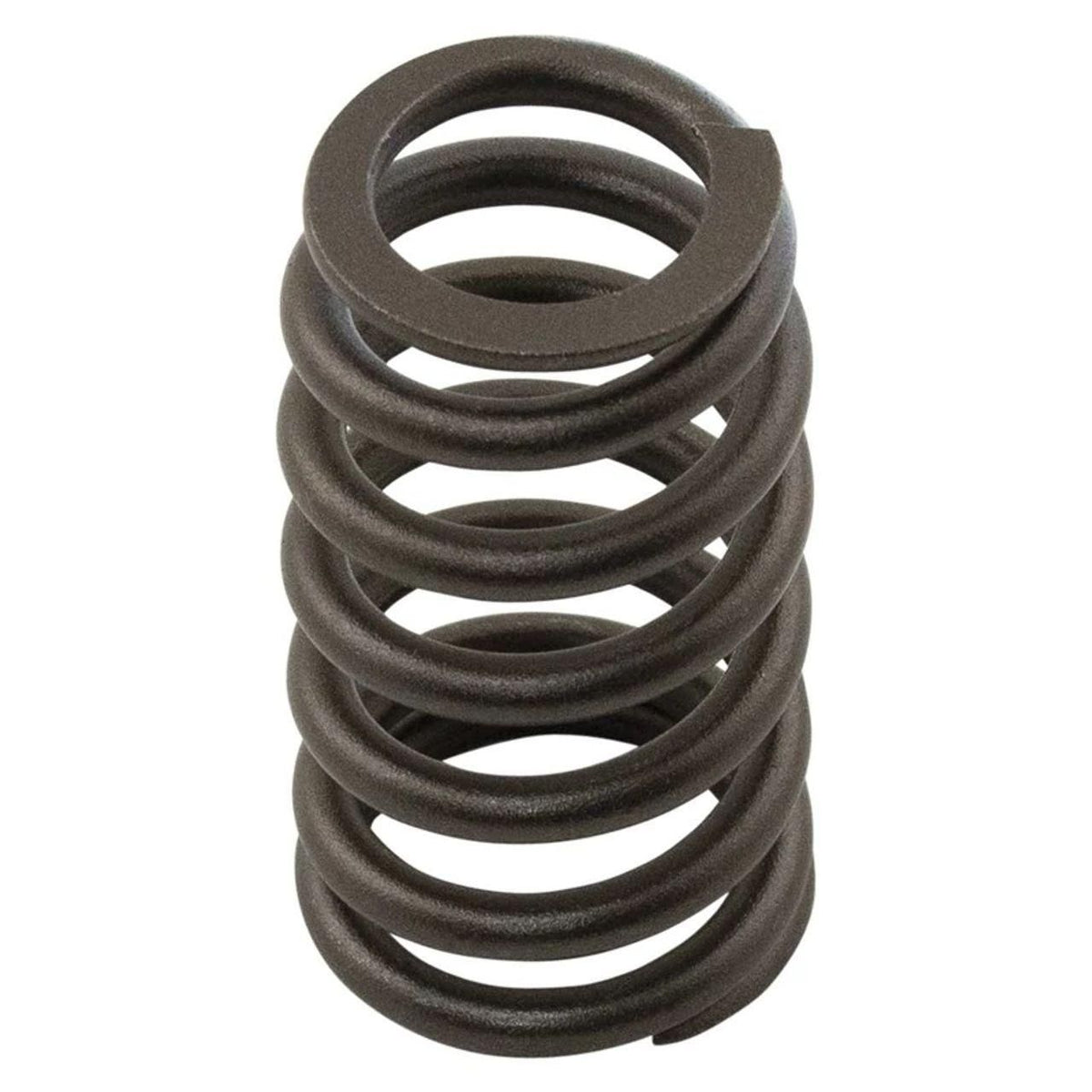 NR518872X - OEM VALVE SPRING - CASE CONSTRUCTION