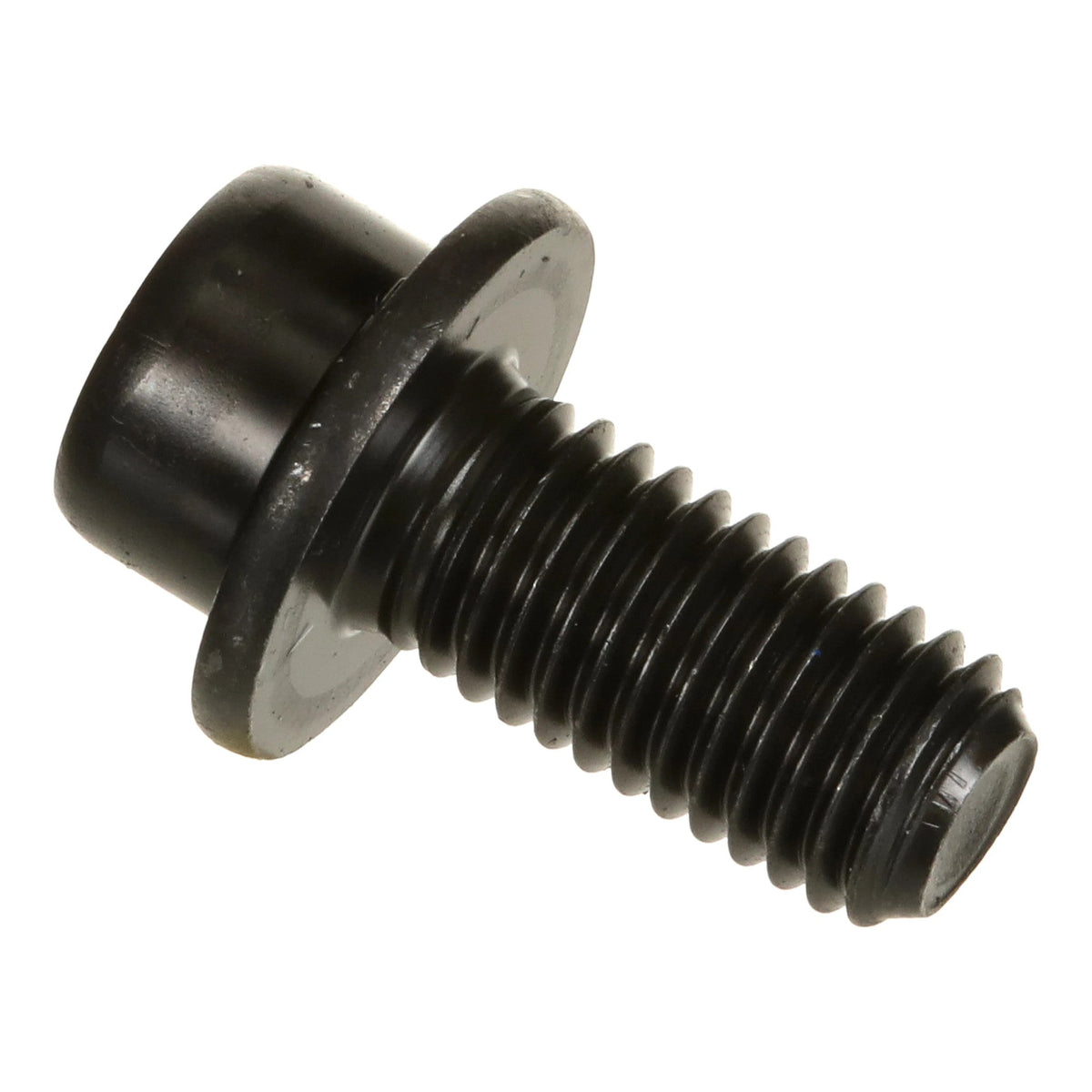 PV17M01004P1 - OEM SCREW - CASE CONSTRUCTION