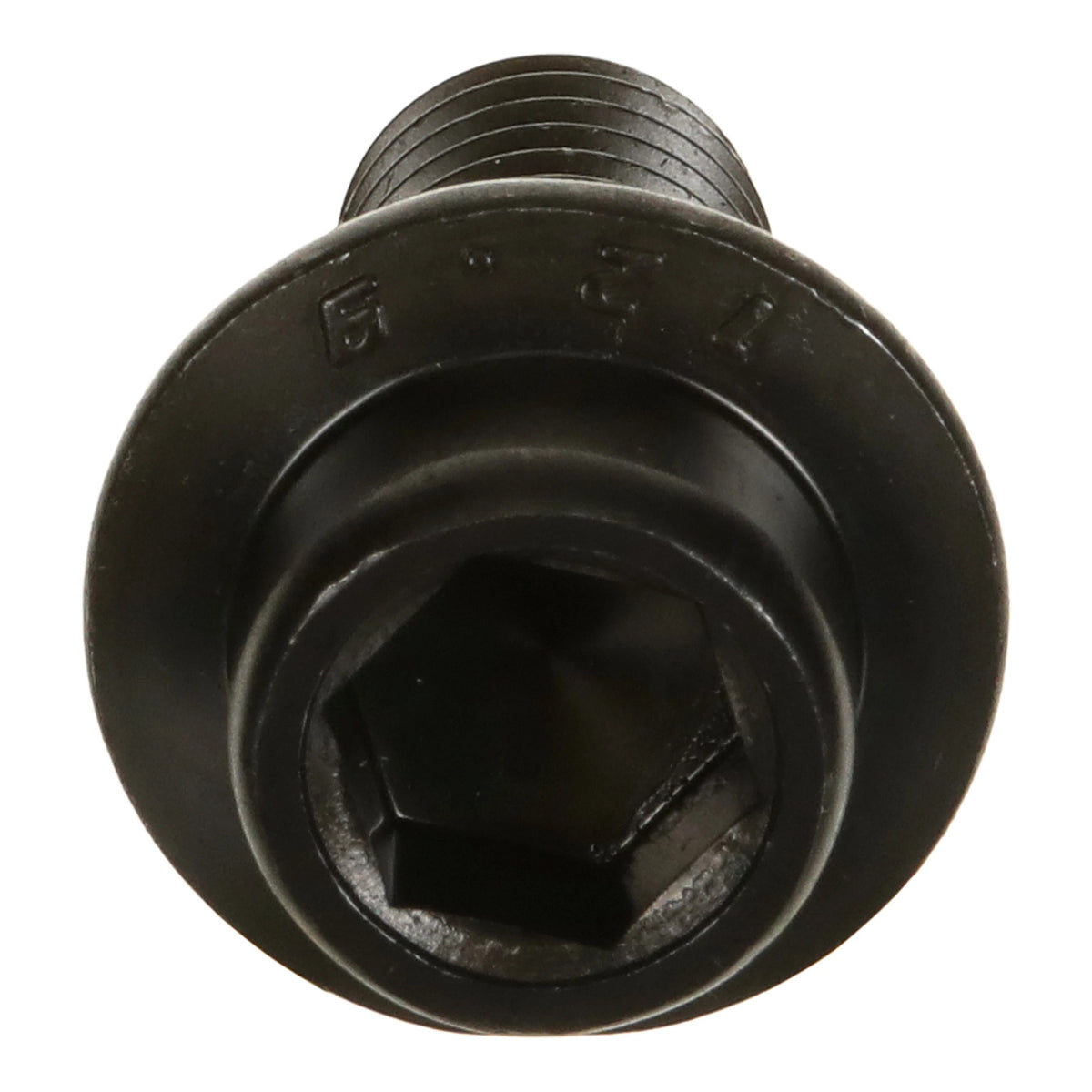 PV17M01004P1 - OEM SCREW - CASE CONSTRUCTION