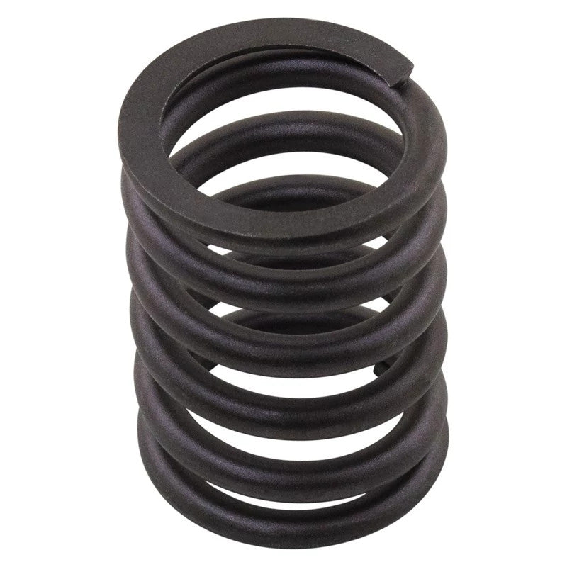 R288021X - OEM VALVE SPRING - CASE CONSTRUCTION