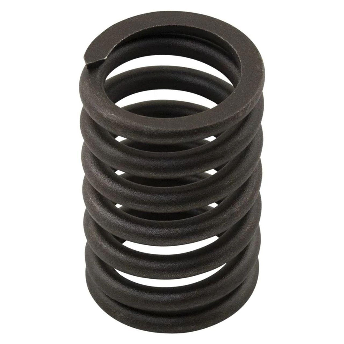 R402091313X - OEM VALVE SPRING - CASE CONSTRUCTION
