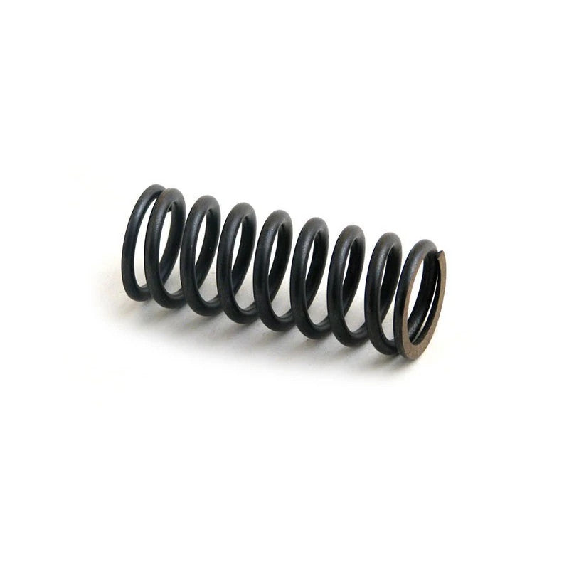 S106573AX - OEM VALVE SPRING - CASE CONSTRUCTION