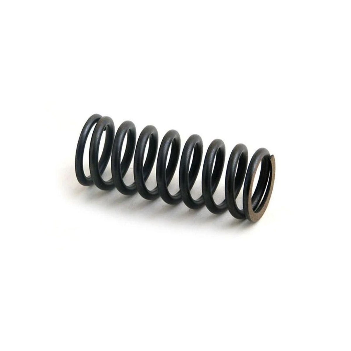 S106573AX - OEM VALVE SPRING - CASE CONSTRUCTION