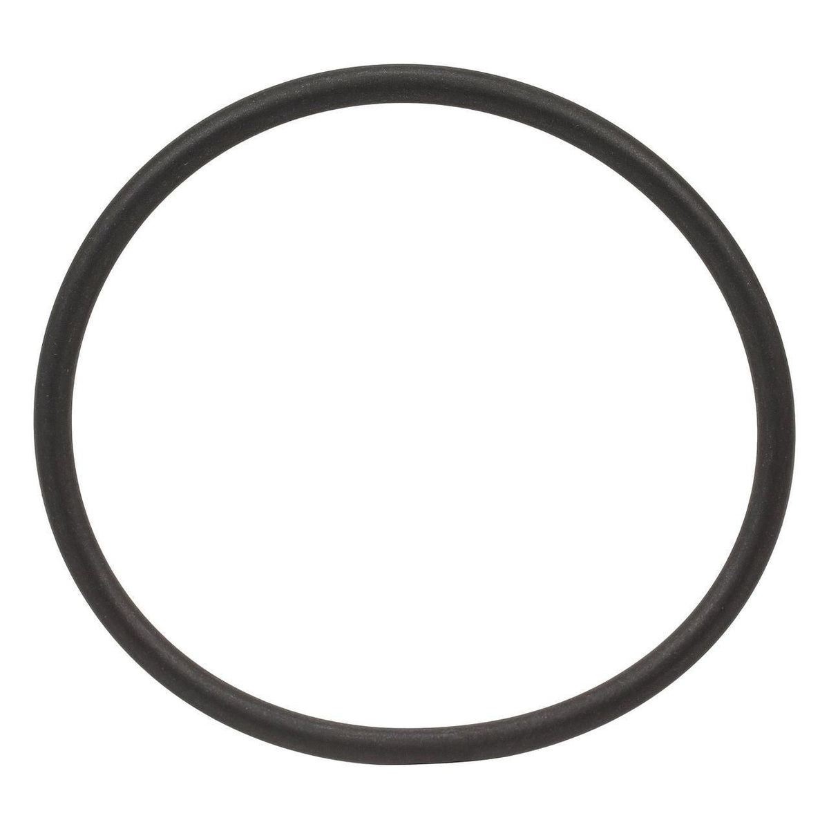 S300460 - OEM O-RING - CASE CONSTRUCTION
