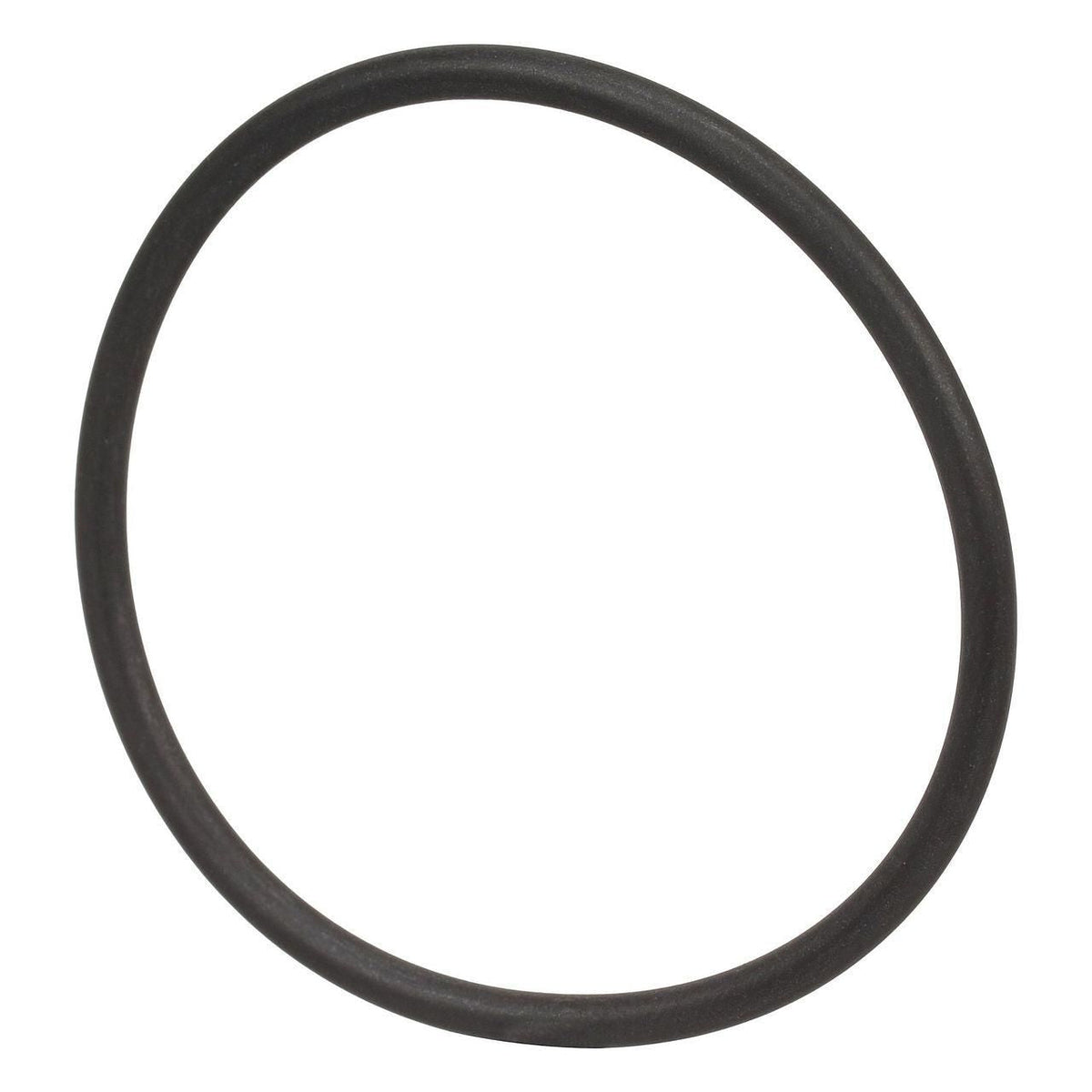 S300460 - OEM O-RING - CASE CONSTRUCTION