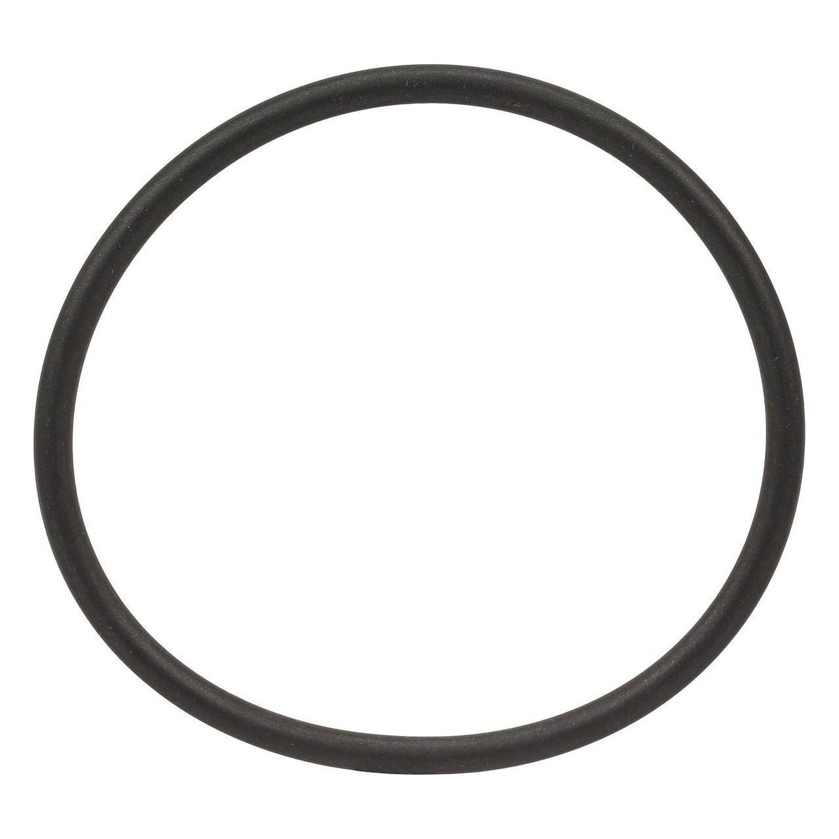 S300460 - OEM O-RING - CASE CONSTRUCTION