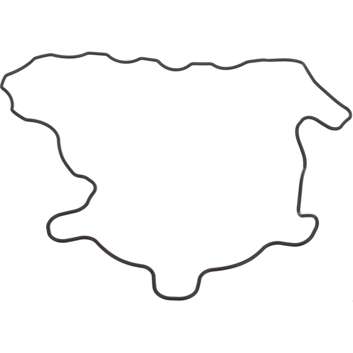 SBA111996520 - OEM GASKET - CASE CONSTRUCTION
