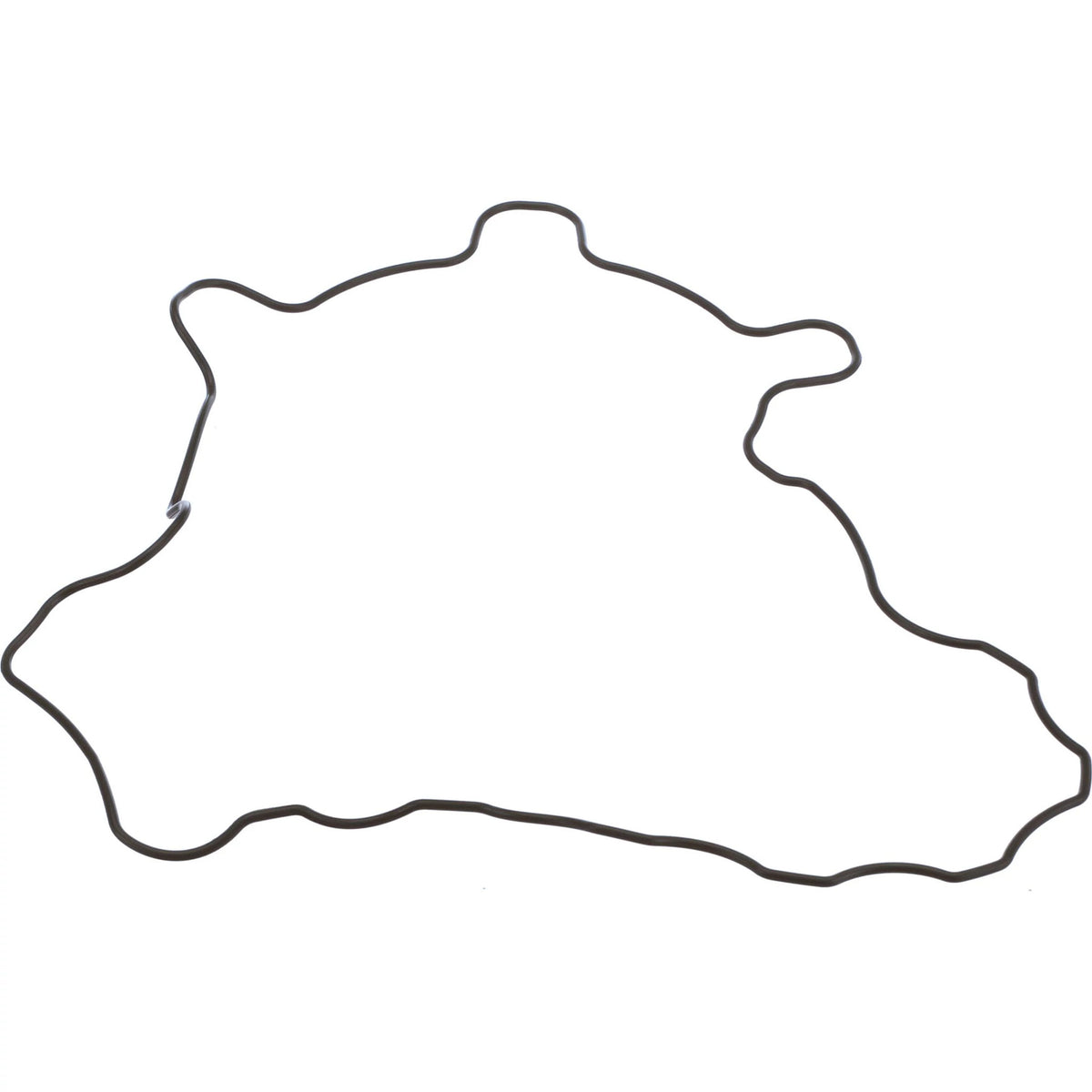 SBA111996520 - OEM GASKET - CASE CONSTRUCTION