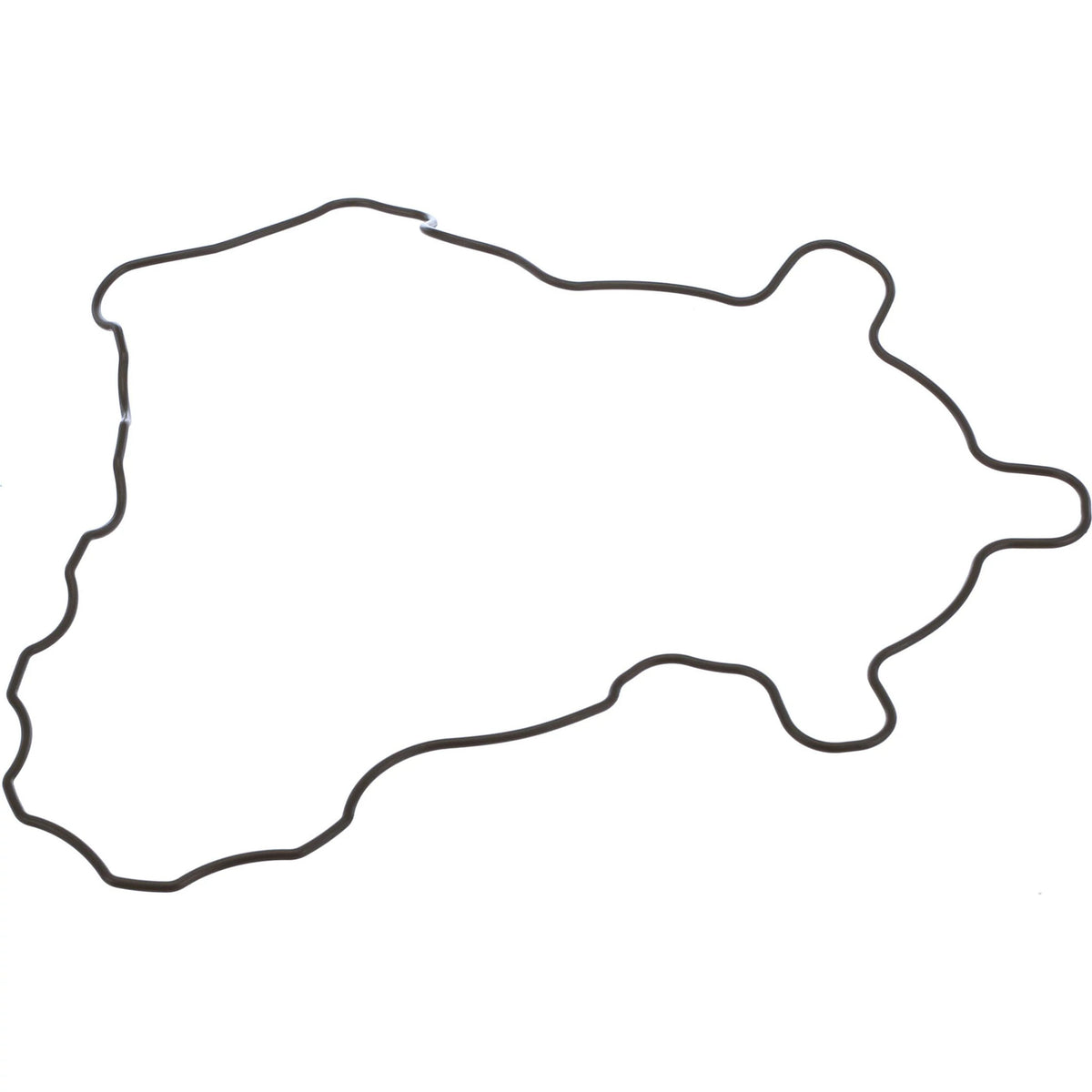 SBA111996520 - OEM GASKET - CASE CONSTRUCTION