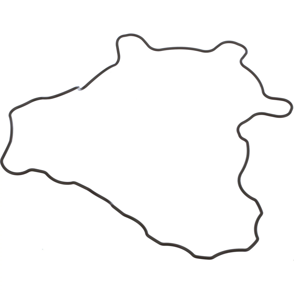 SBA111996520 - OEM GASKET - CASE CONSTRUCTION