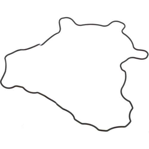 SBA111996520 - OEM GASKET - CASE CONSTRUCTION