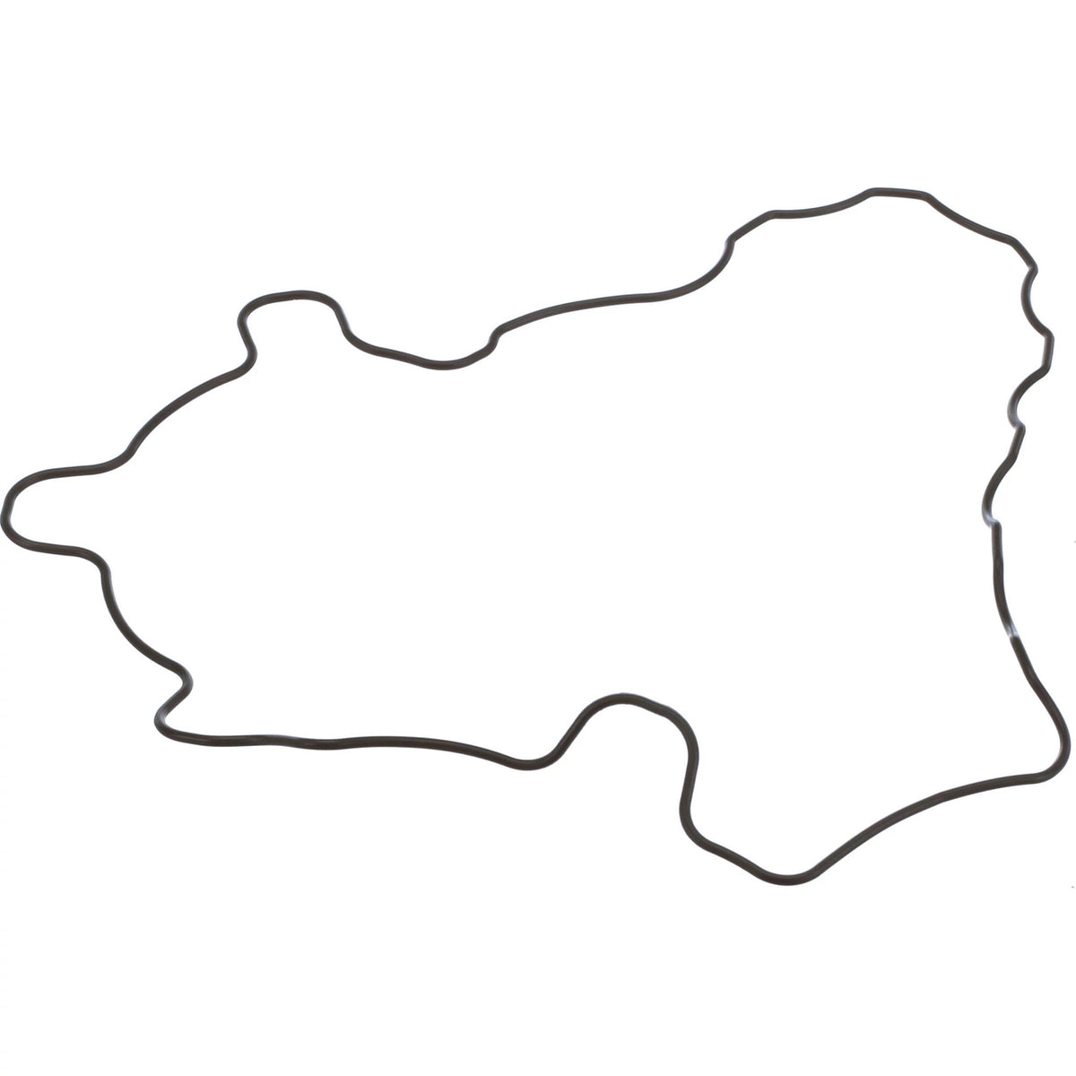 SBA111996520 - OEM GASKET - CASE CONSTRUCTION