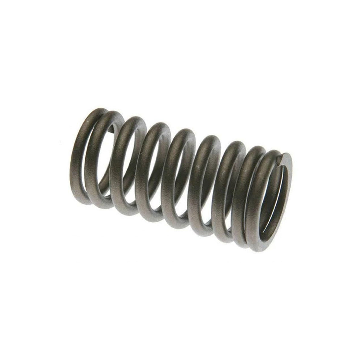 SK198AX - OEM VALVE SPRING - CASE CONSTRUCTION