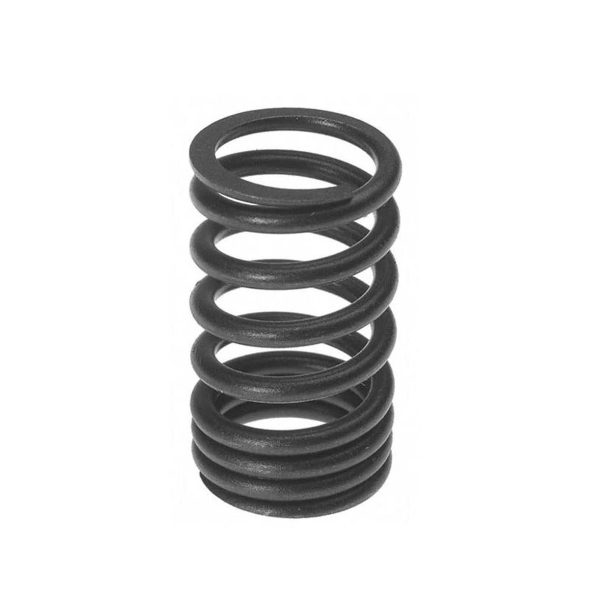 SK198X - OEM VALVE SPRING - CASE CONSTRUCTION