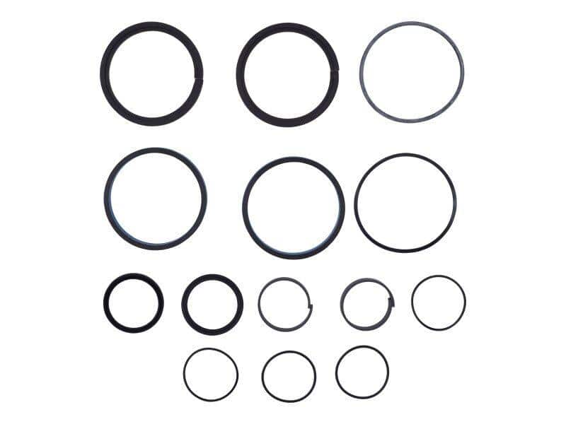 1001139996 - OEM OIL SEAL KIT - JLG