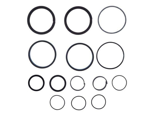 1001139996 - OEM OIL SEAL KIT - JLG