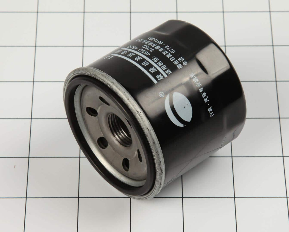 70002979 - OEM OIL FILTER - JLG