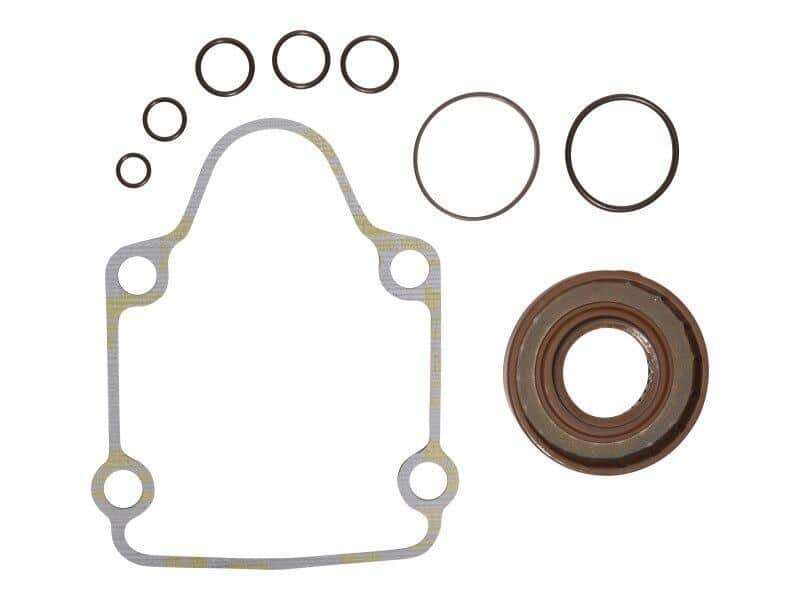 GN106098GT - OEM OVERHAUL SEAL KIT - JLG