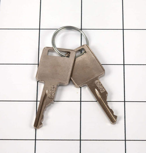 GN58322GT - OEM SET OF 2 KEYS WITH D-RING TO FIT GENIE MACHINES - JLG