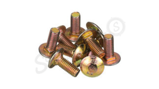 Carriage Bolt – SSQ M8 x 20