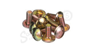 Carriage Bolt – SSQ M8 x 20