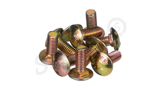 Carriage Bolt – SSQ M8 x 20