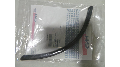 IC395793A1