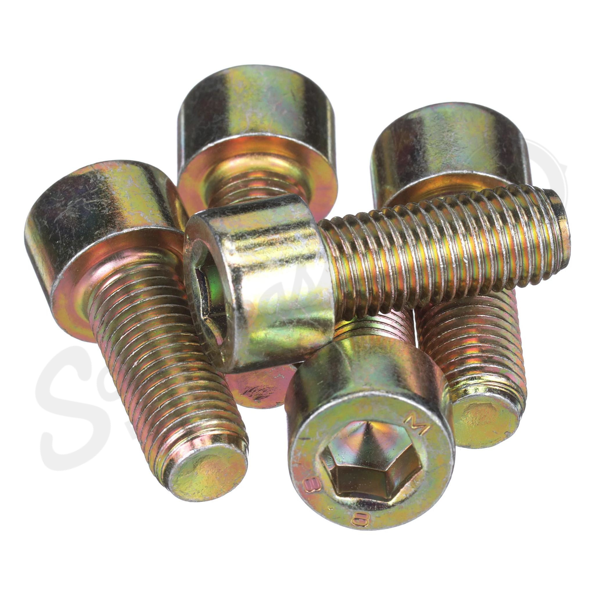 Standard Carriage Screw