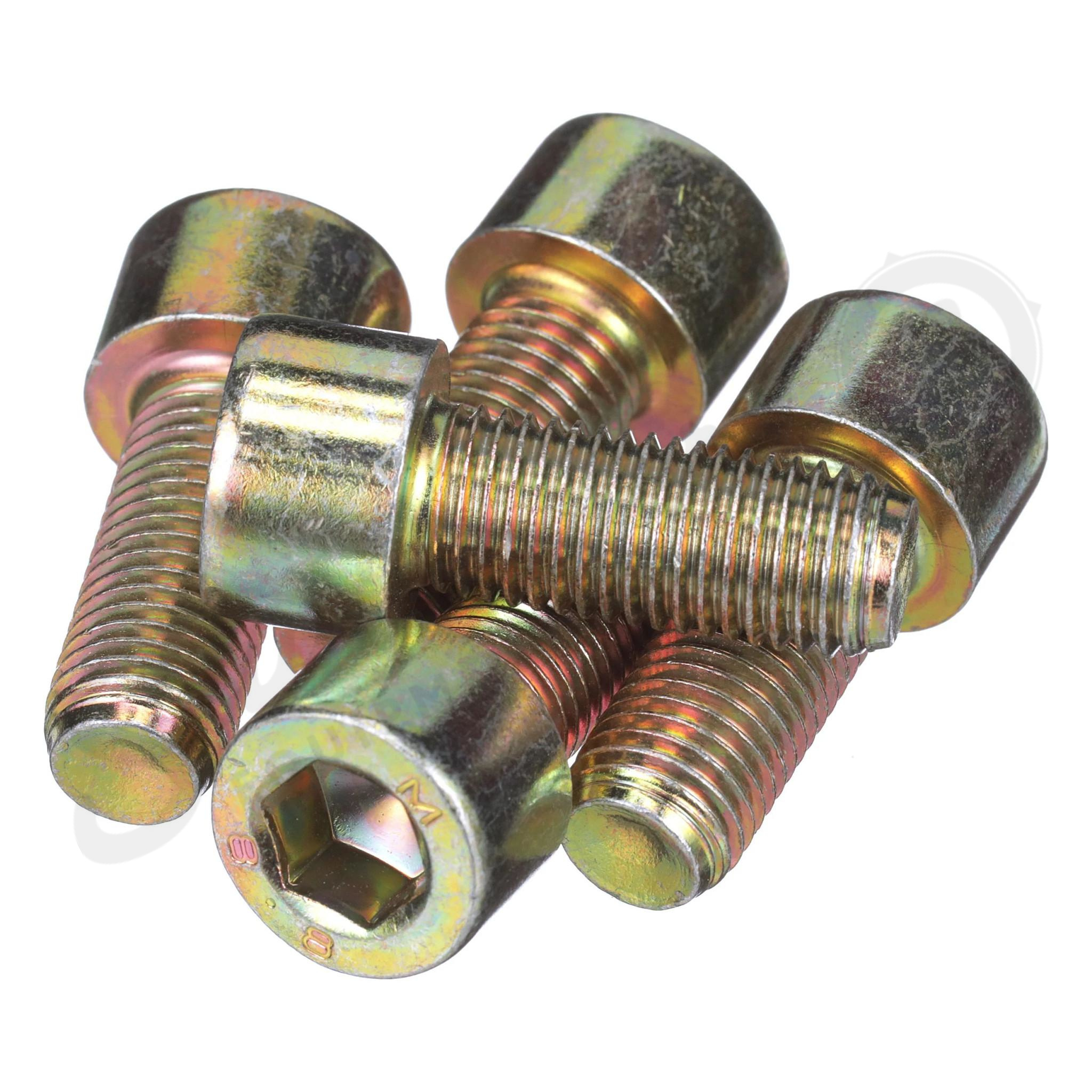 Standard Carriage Screw