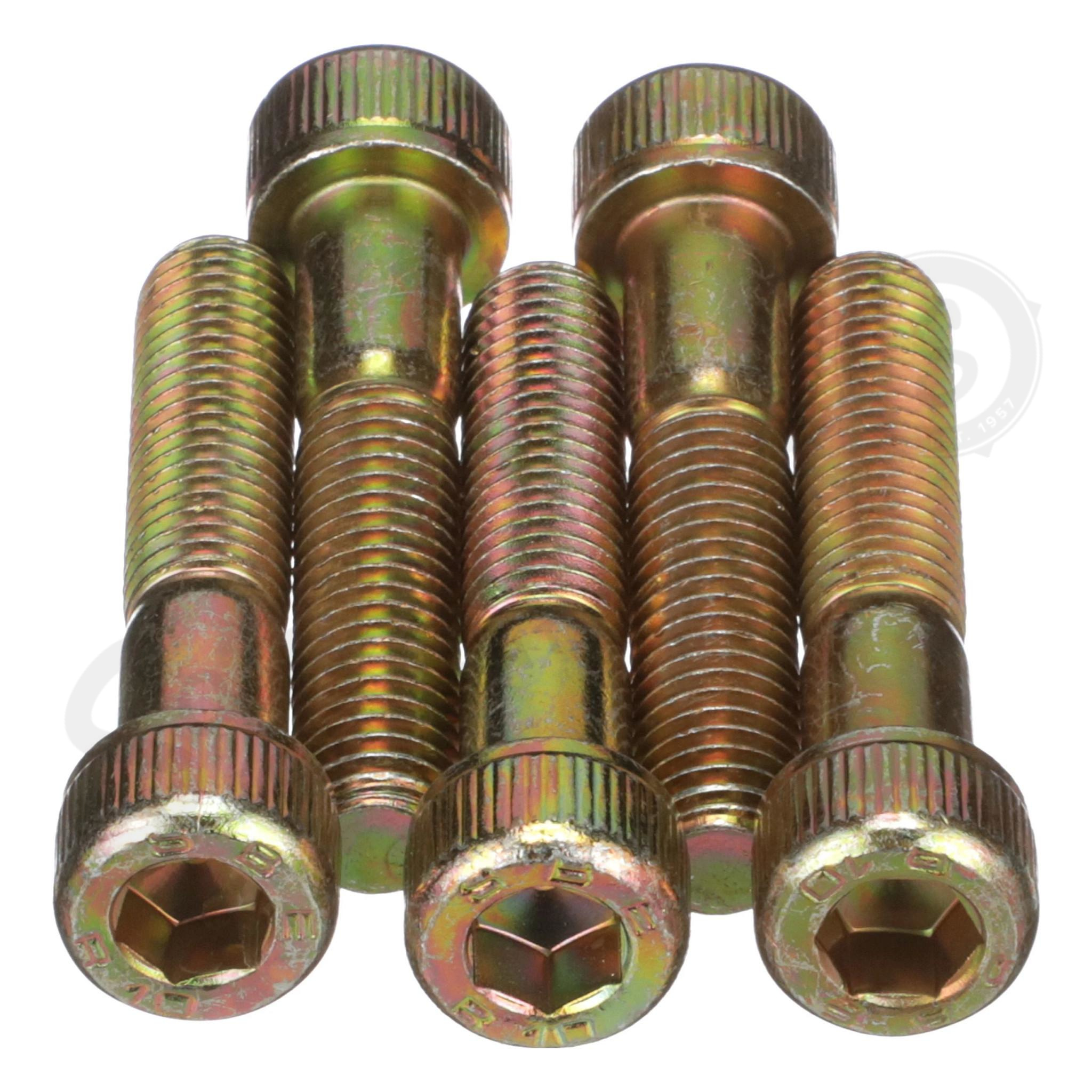 Screw