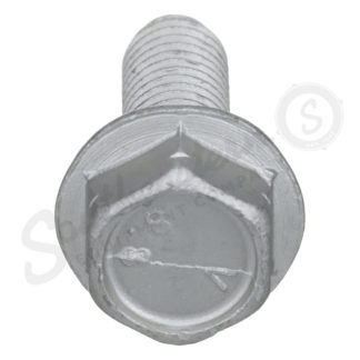 Metric Hex Screw