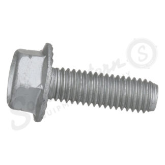 Metric Hex Screw