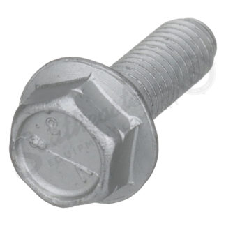 Metric Hex Screw