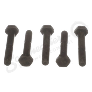 Bolt – M10 x 60