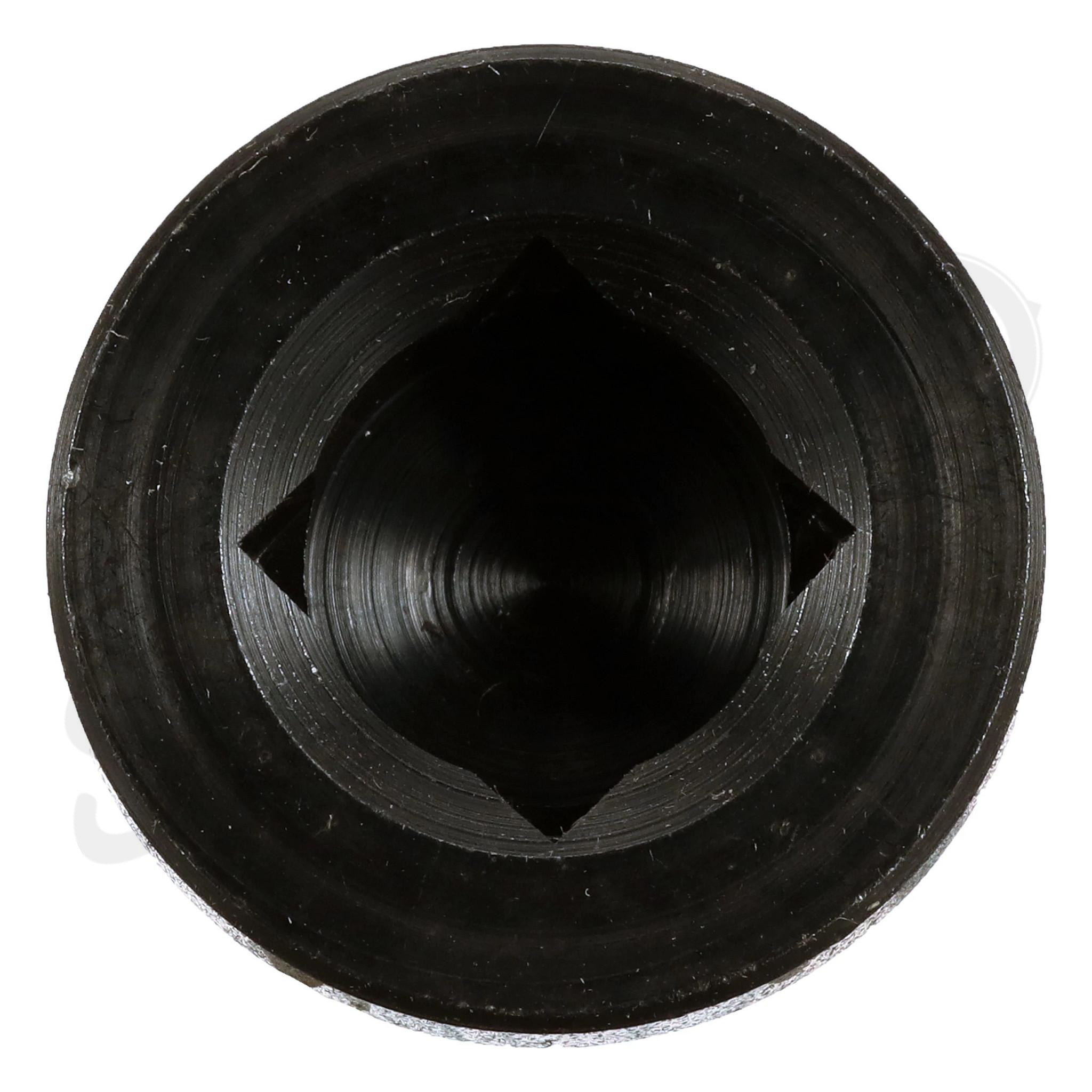PLUG DRAIN