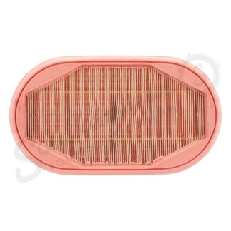 Secondary Air Filter