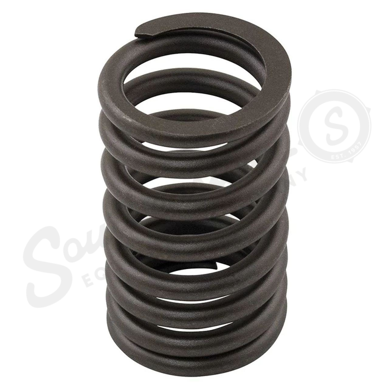 VALVE SPRING