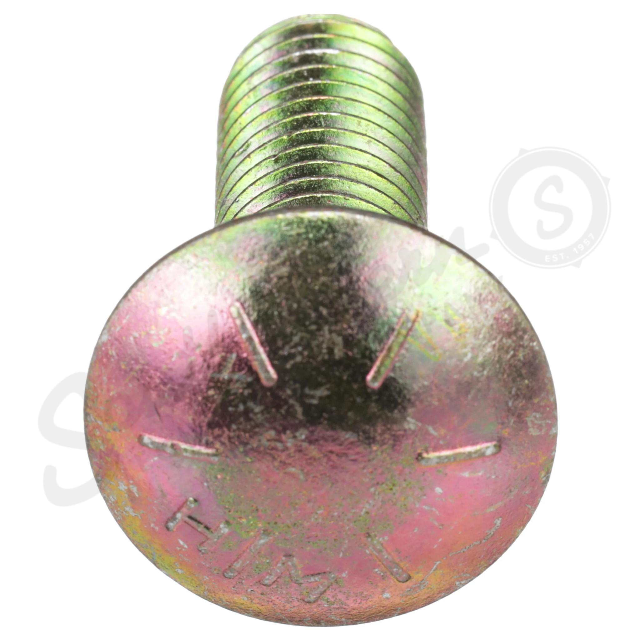 Carriage Bolt – SSQNK 1/2 – 13 x 1